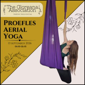 Proefles Aerial Yoga